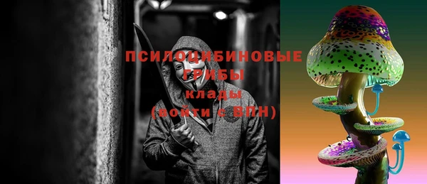 амф Абаза