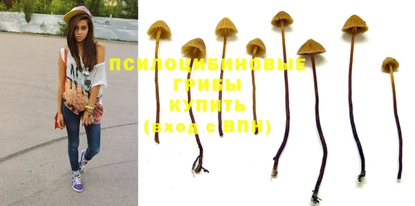 стаф Абдулино