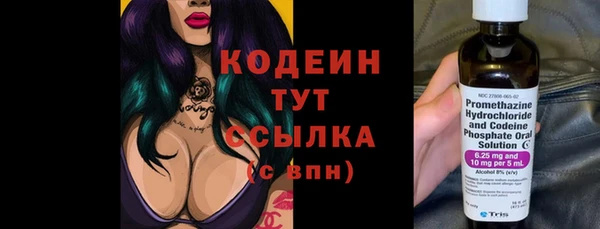 сатива Новозыбков