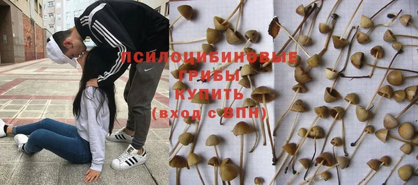 мяу мяу мука Абинск