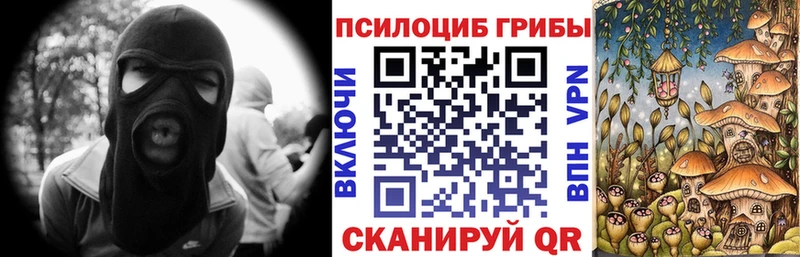 Галлюциногенные грибы Psilocybe Клинцы